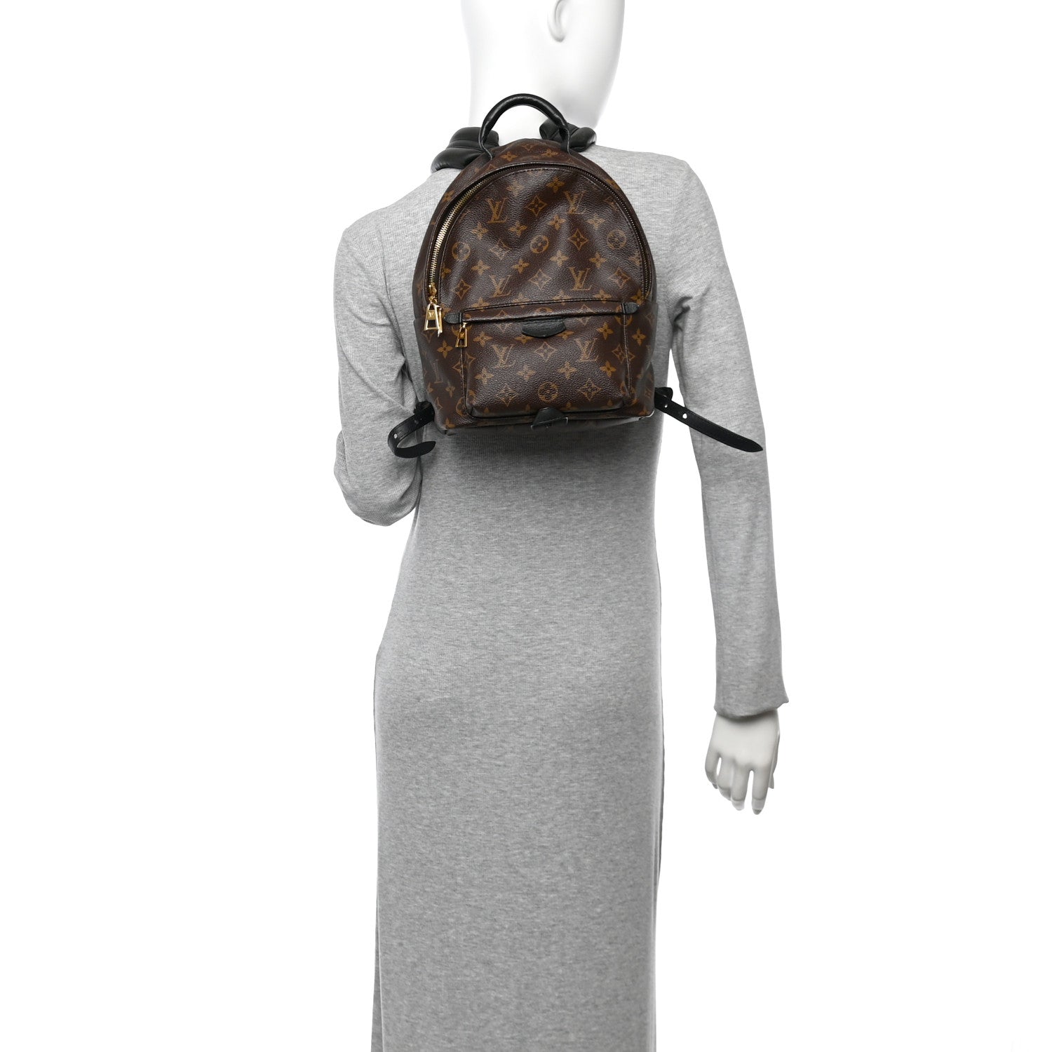 Monogram Palm Springs Backpack PM