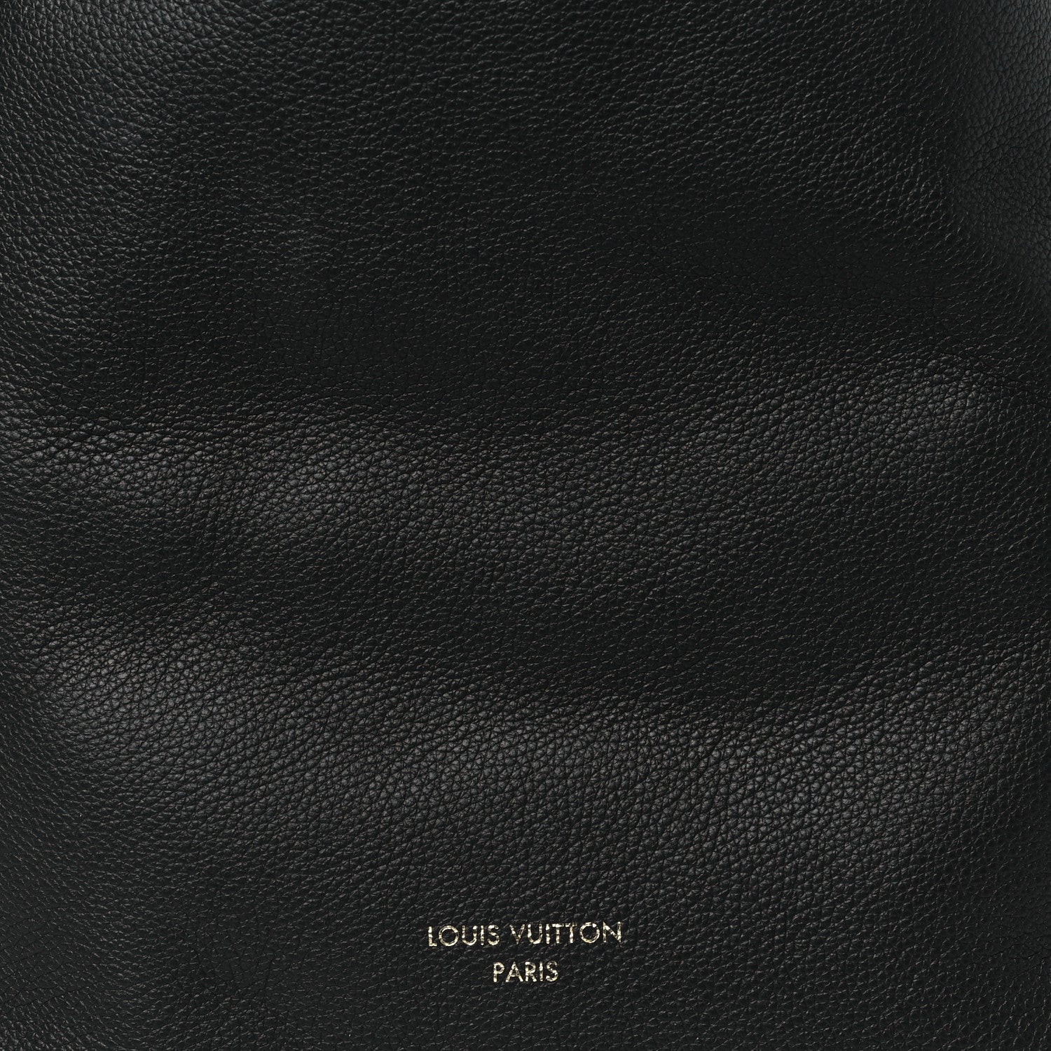 Grained Calfskin Low Key Hobo PM Black