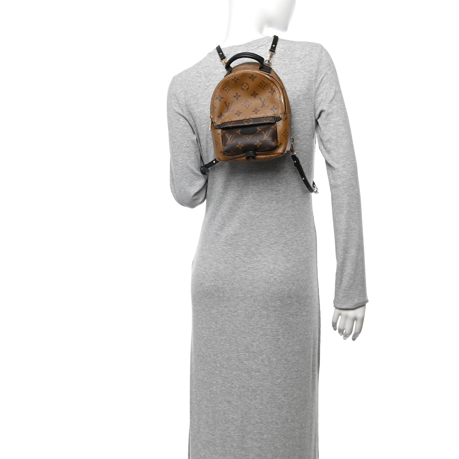 Reverse Monogram Palm Springs Backpack Mini