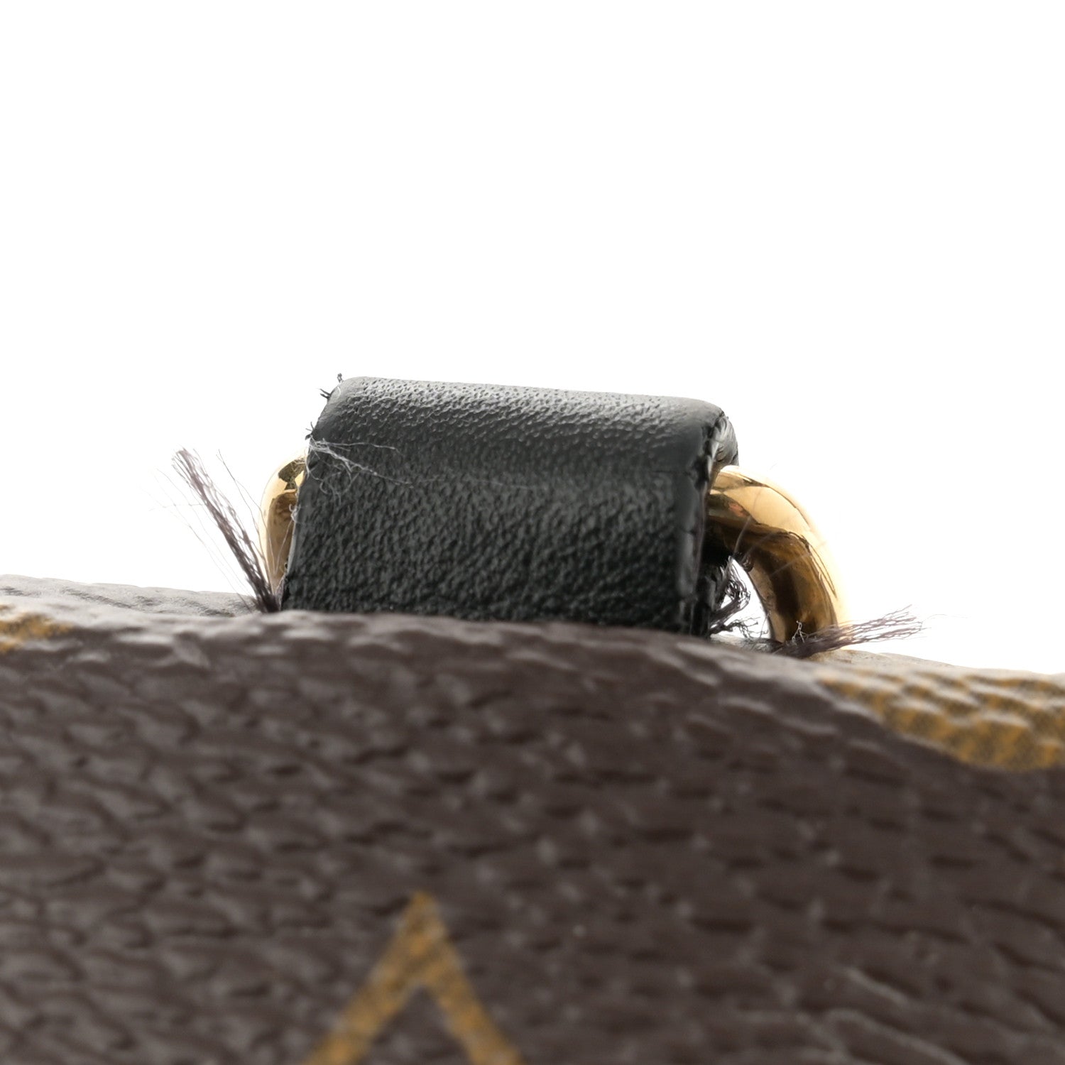 Monogram Palm Springs Backpack Mini