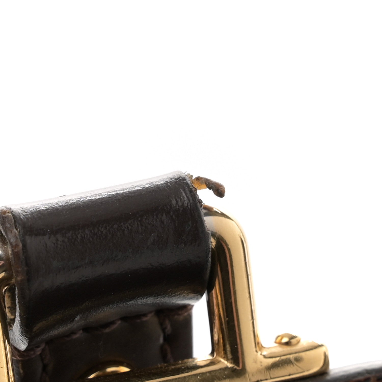 Damier Ebene Jersey Black