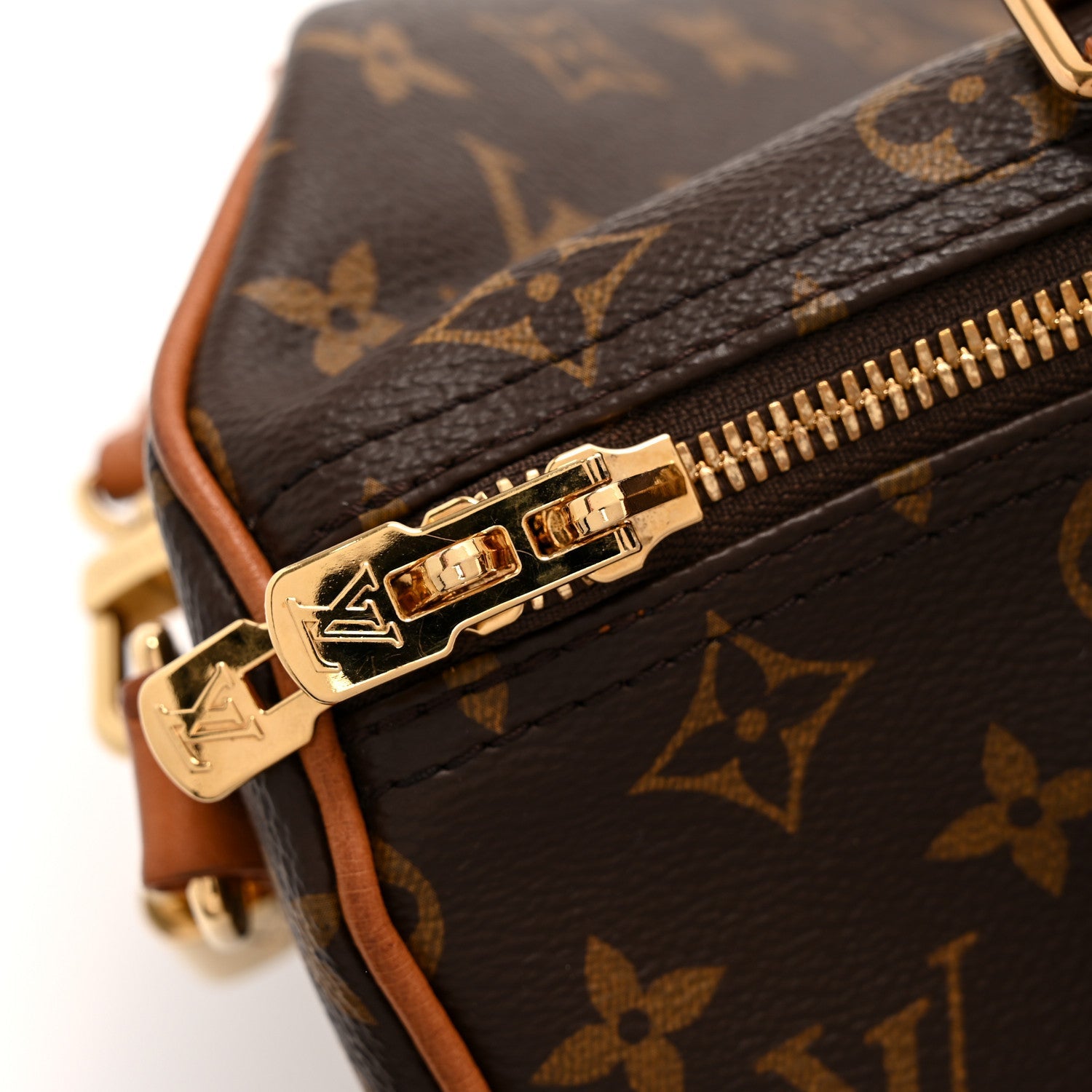 Monogram Speedy Soft 30 Boho