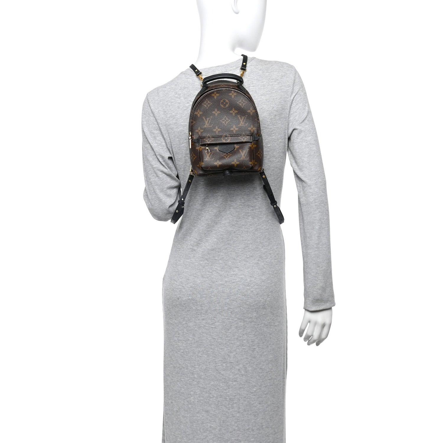 Monogram Palm Springs Backpack Mini