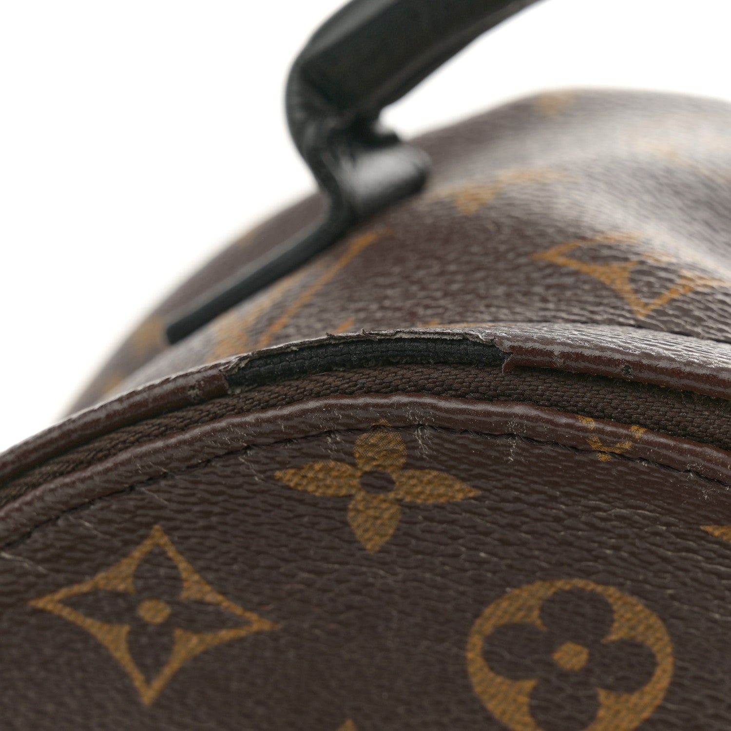 Monogram Palm Springs Backpack Mini