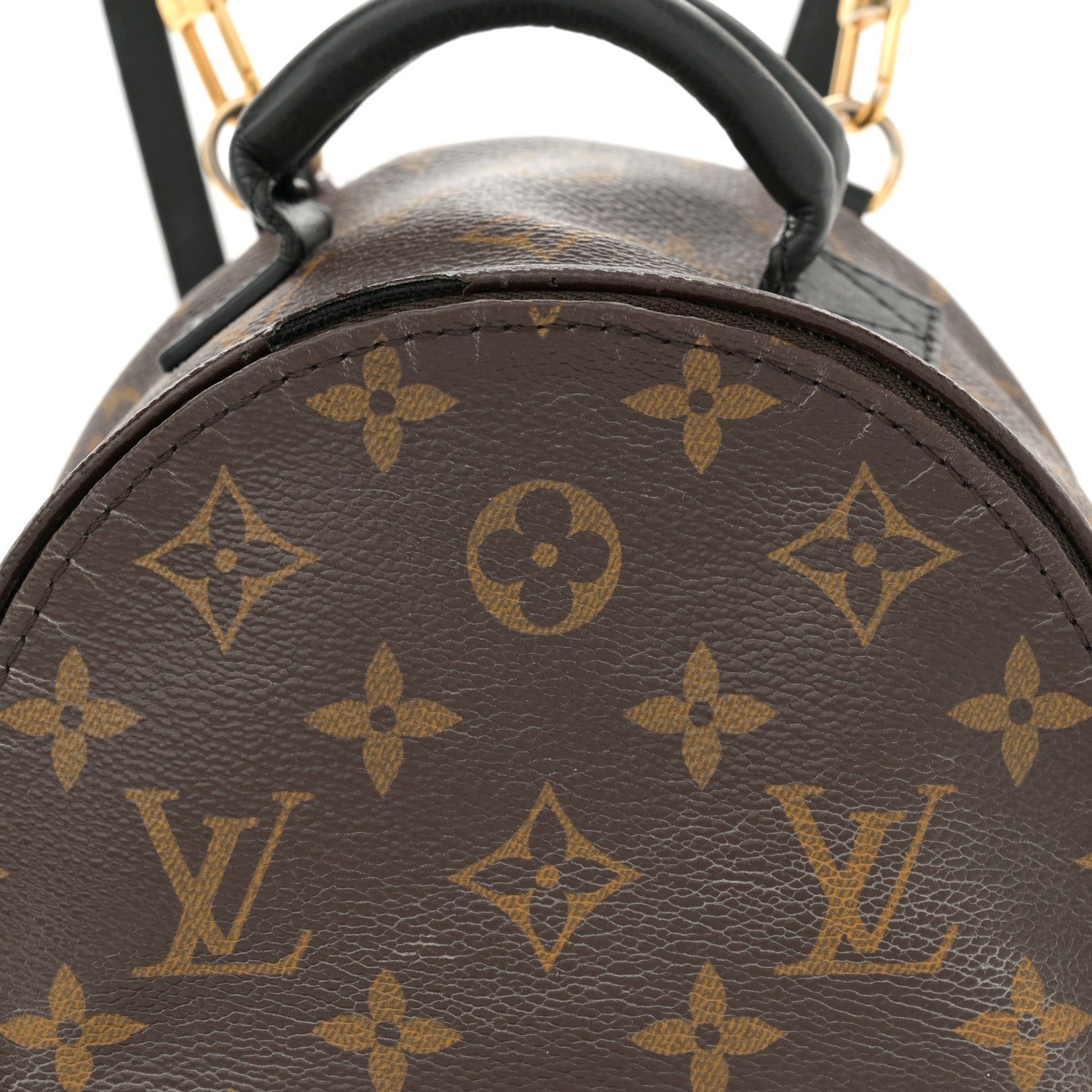 Monogram Palm Springs Backpack Mini