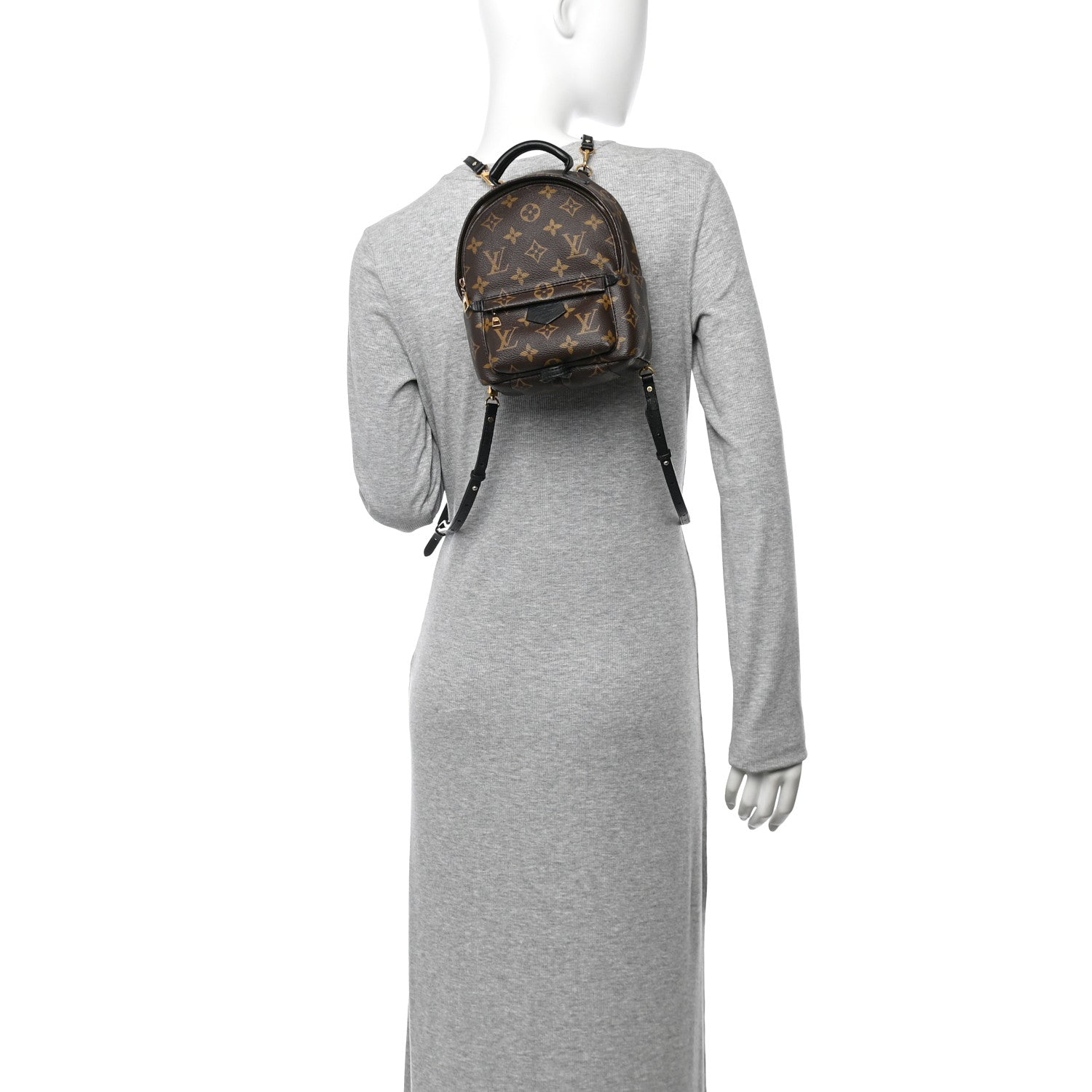 Monogram Palm Springs Backpack Mini