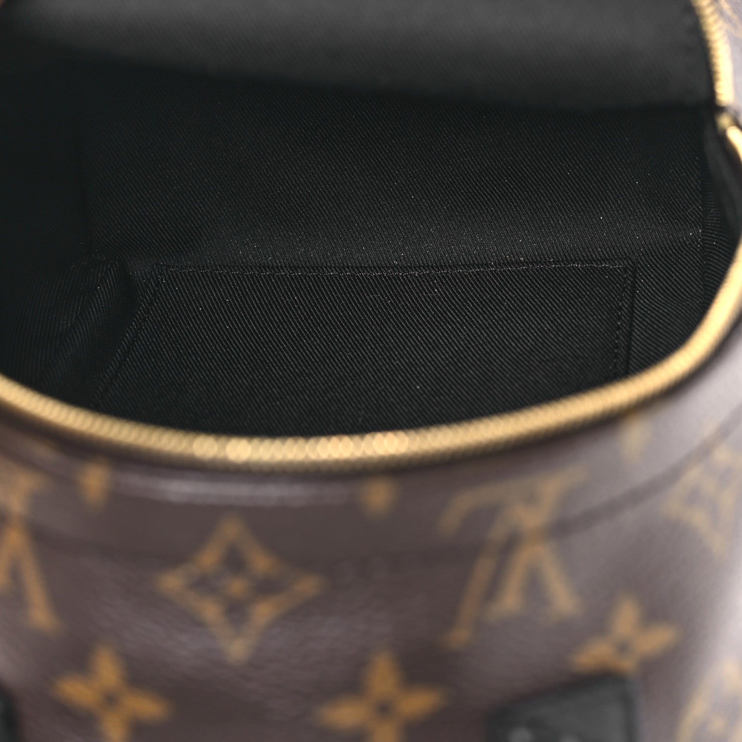 Monogram Palm Springs Backpack Mini