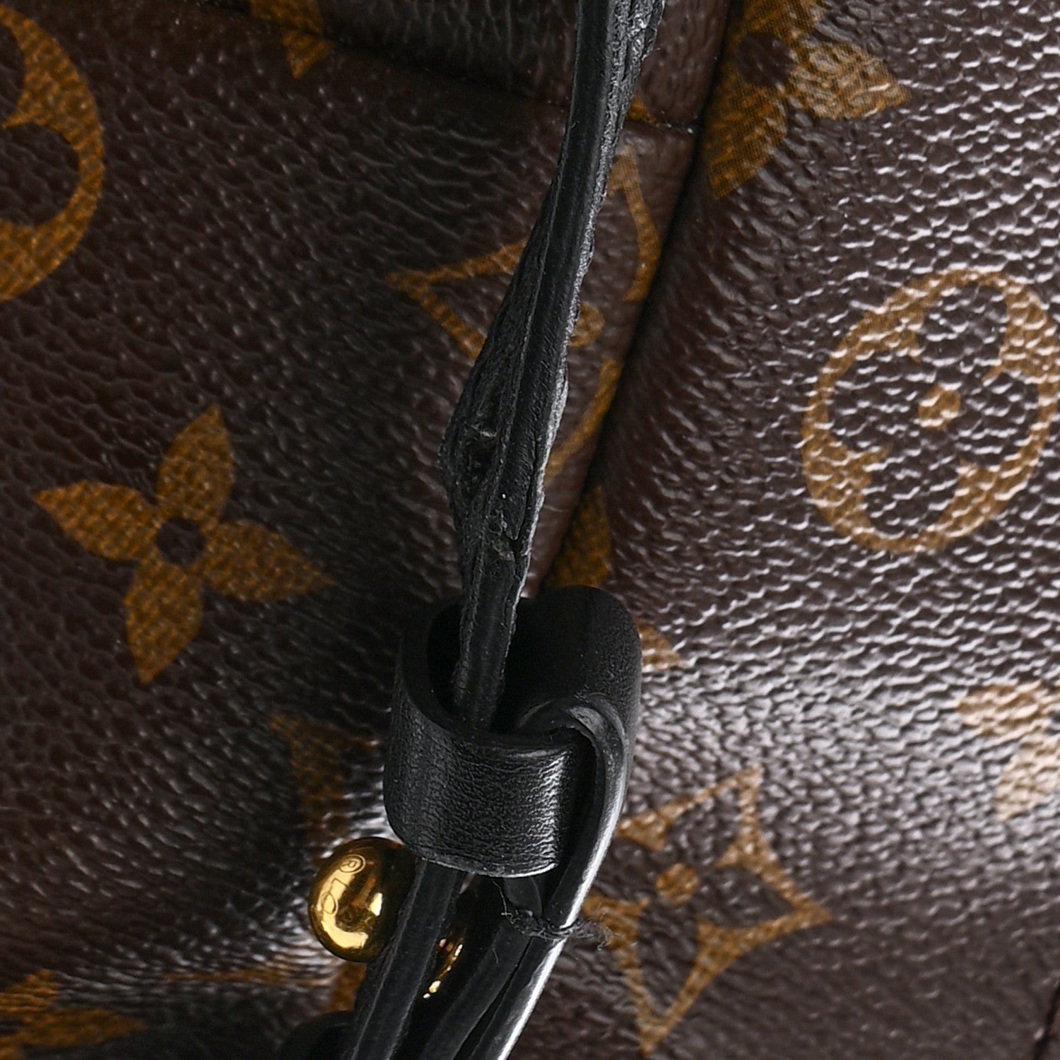 Monogram Palm Springs Backpack PM