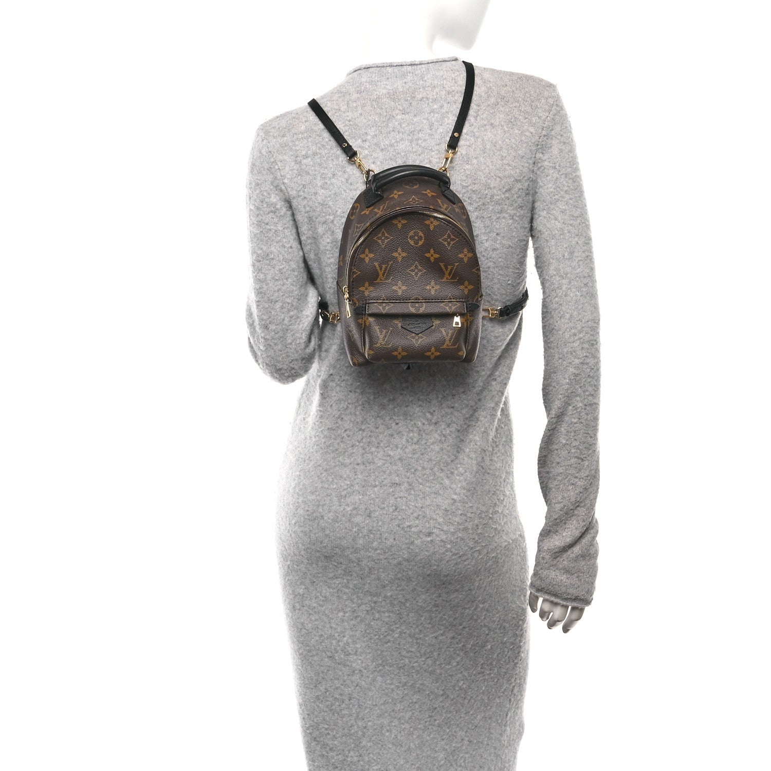 Monogram Palm Springs Backpack Mini