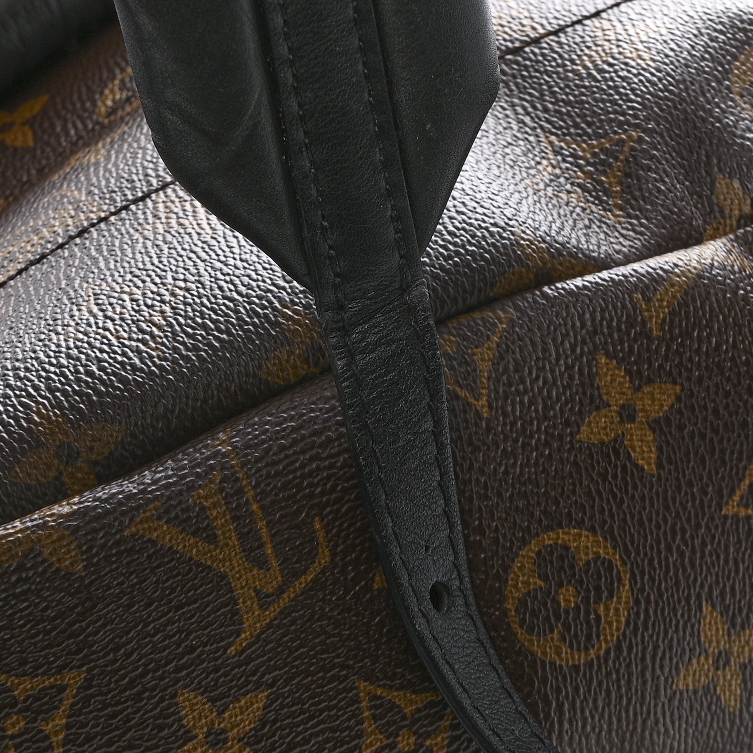 Monogram Palm Springs Backpack PM