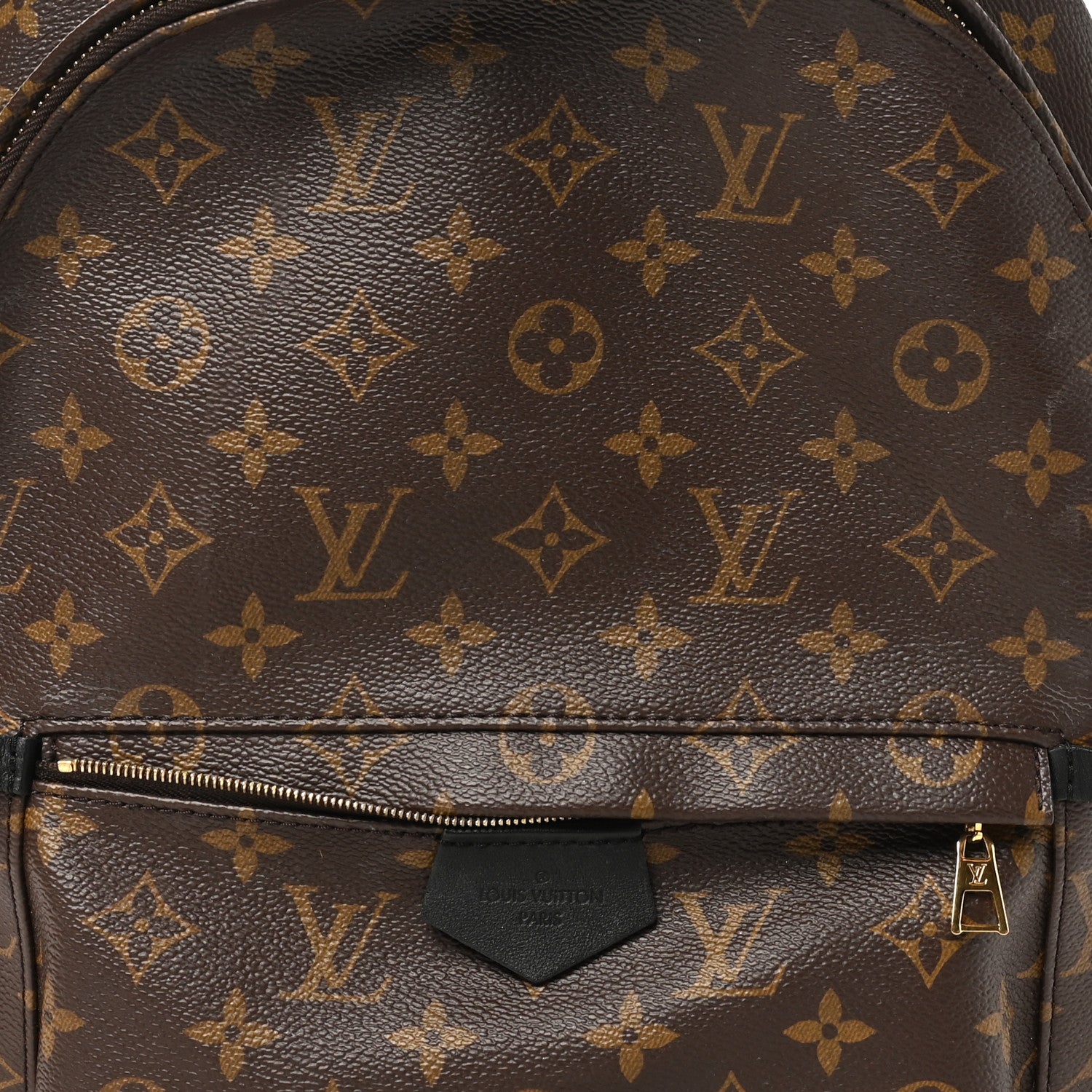 Monogram Palm Springs Backpack MM