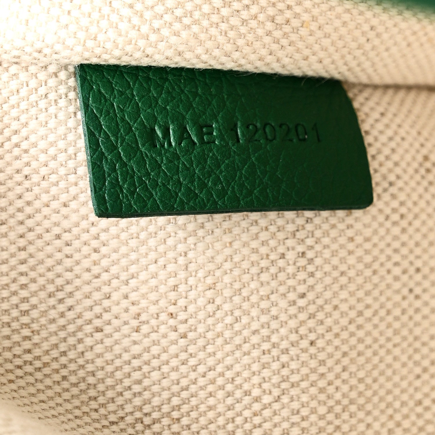 Goyardine Villette Tote Green