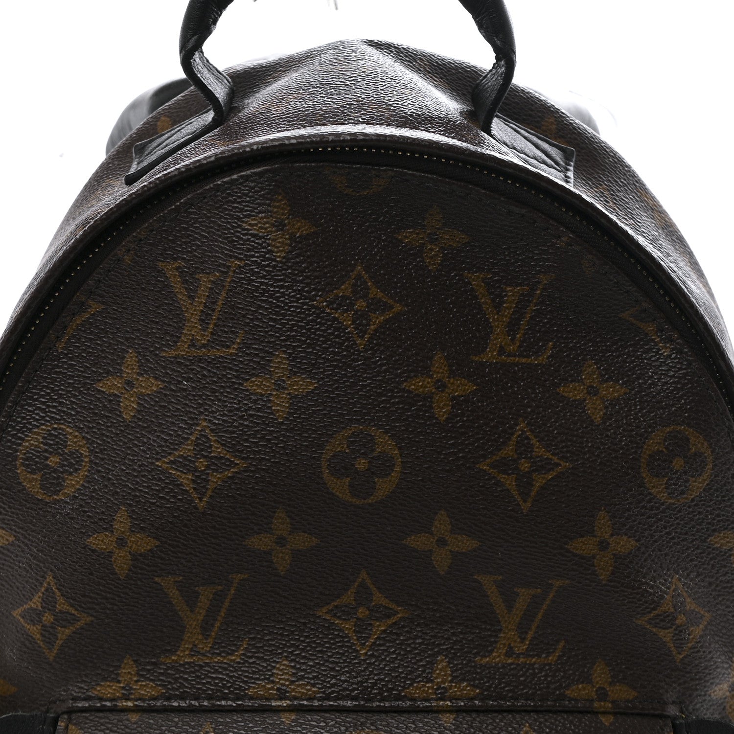 Monogram Palm Springs Backpack PM