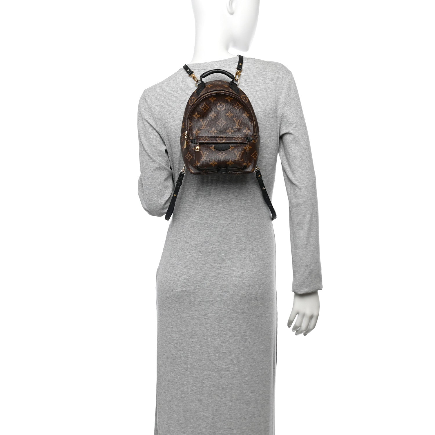 Monogram Palm Springs Backpack Mini