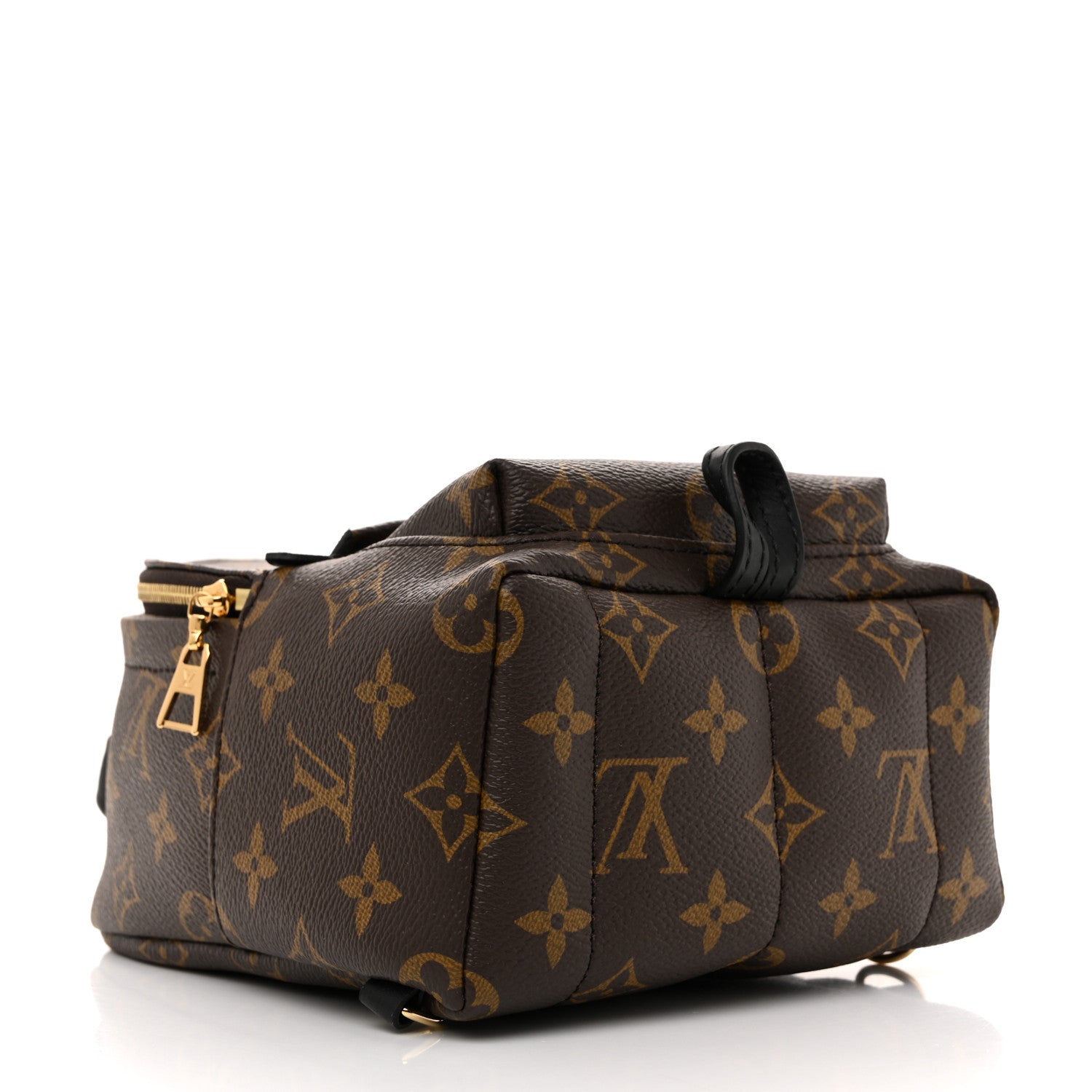 Monogram Palm Springs Backpack Mini