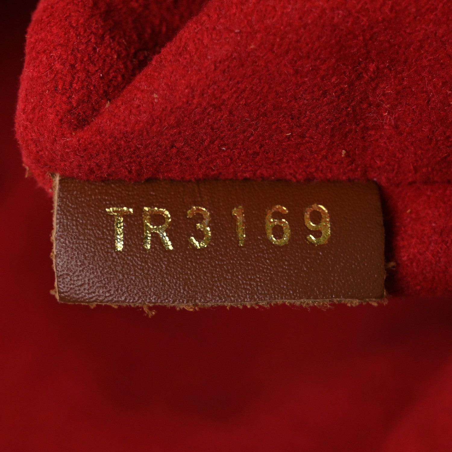 Monogram Teddy Beach Pouch