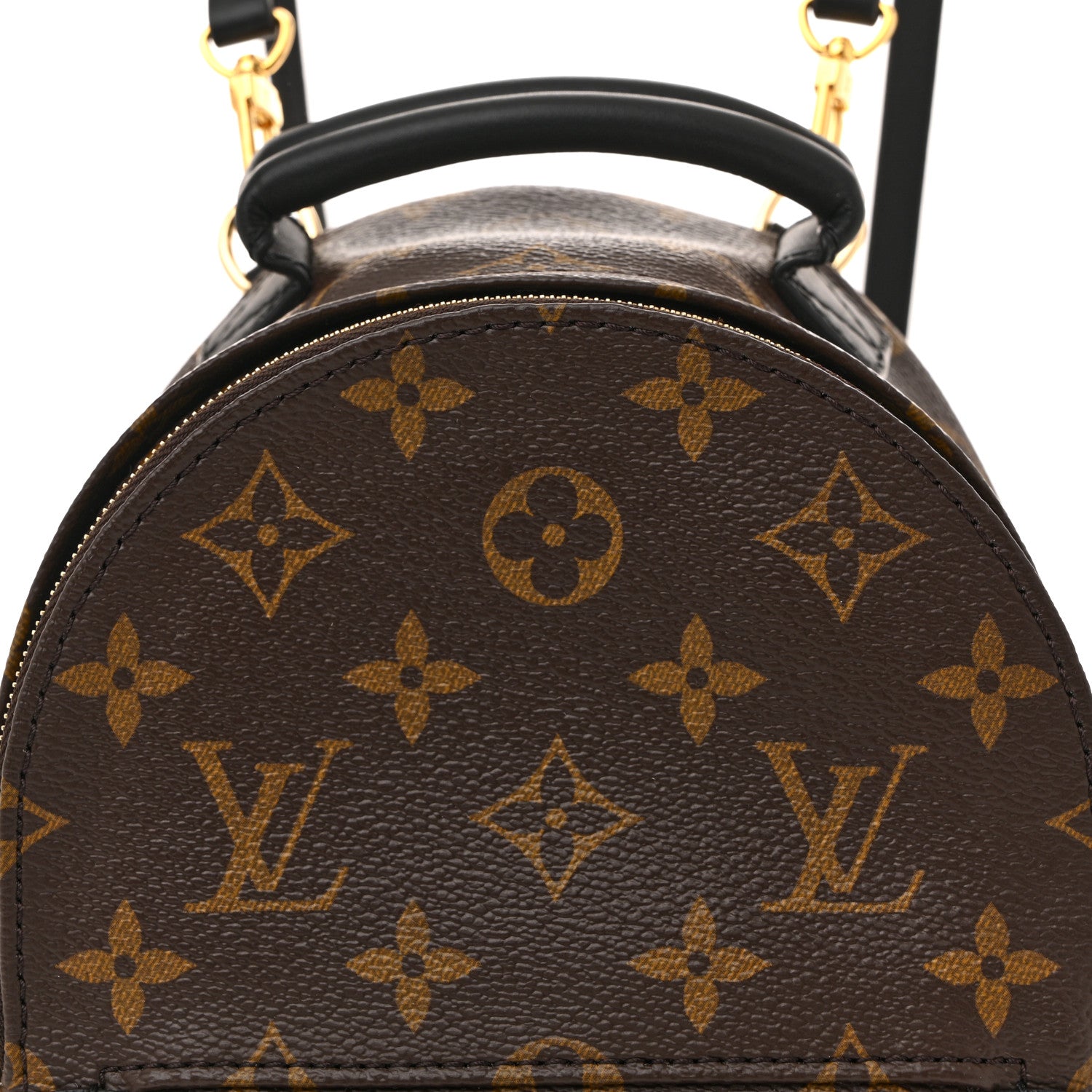 Monogram Palm Springs Backpack Mini