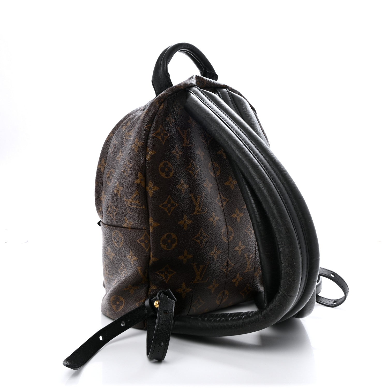 Monogram Palm Springs Backpack PM