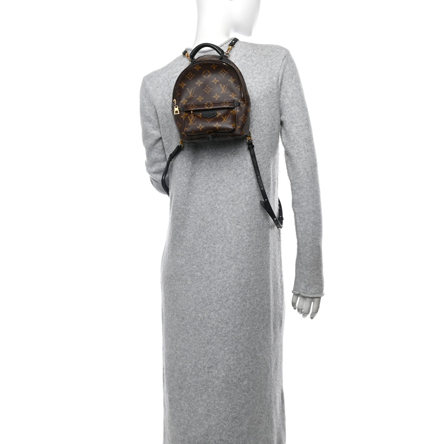 Monogram Palm Springs Backpack Mini