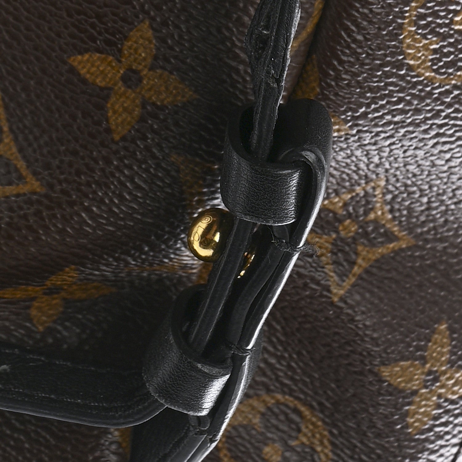 Monogram Palm Springs Backpack PM