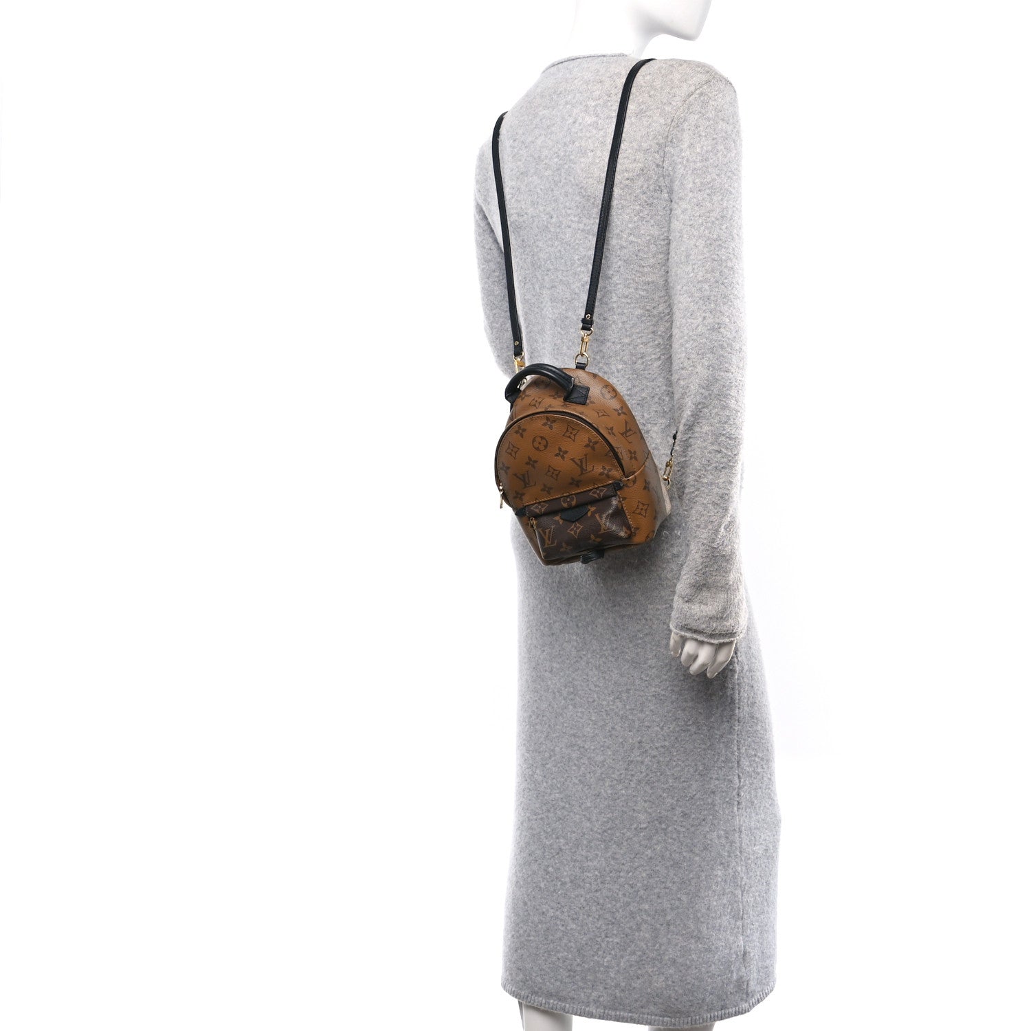 Reverse Monogram Palm Springs Backpack Mini