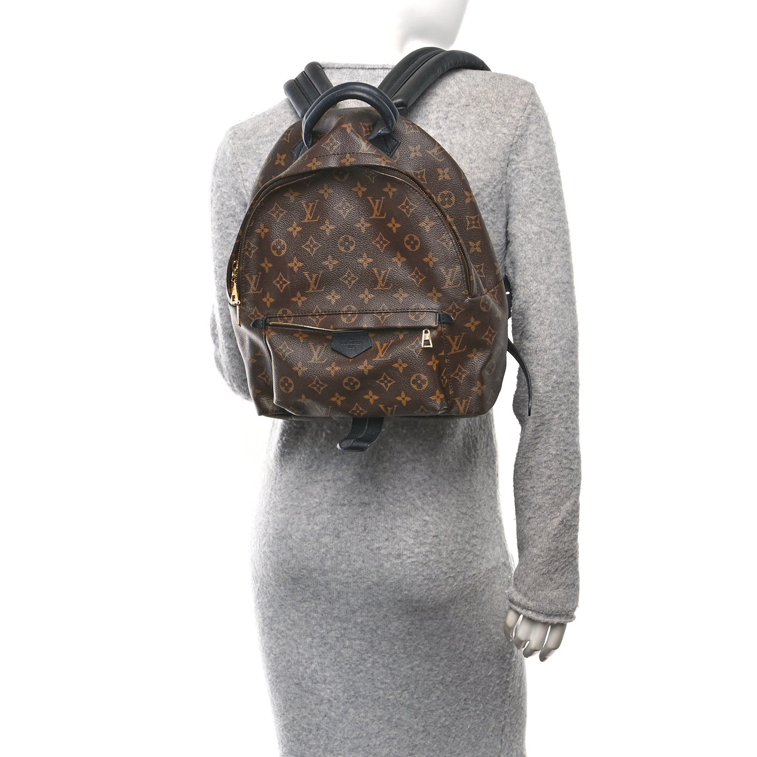 Monogram Palm Springs Backpack MM