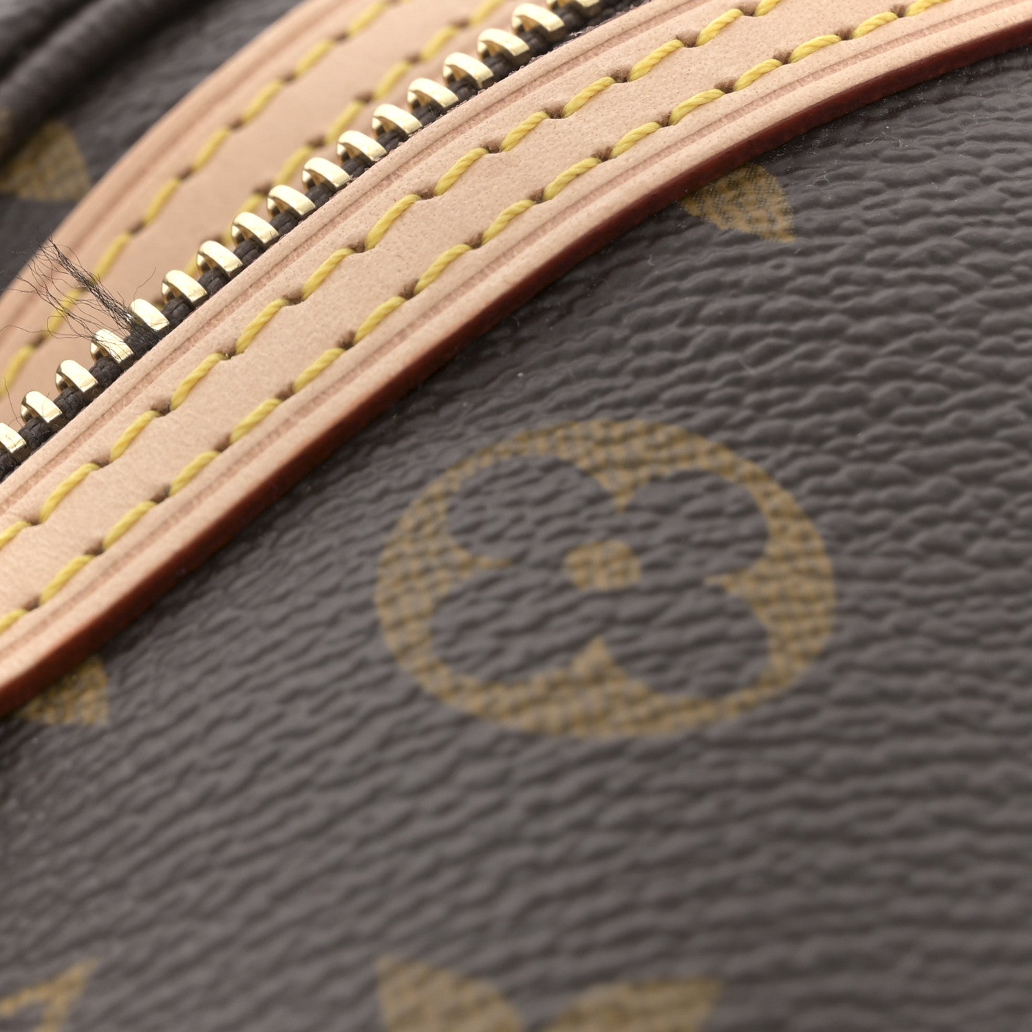 Monogram High Rise Bumbag