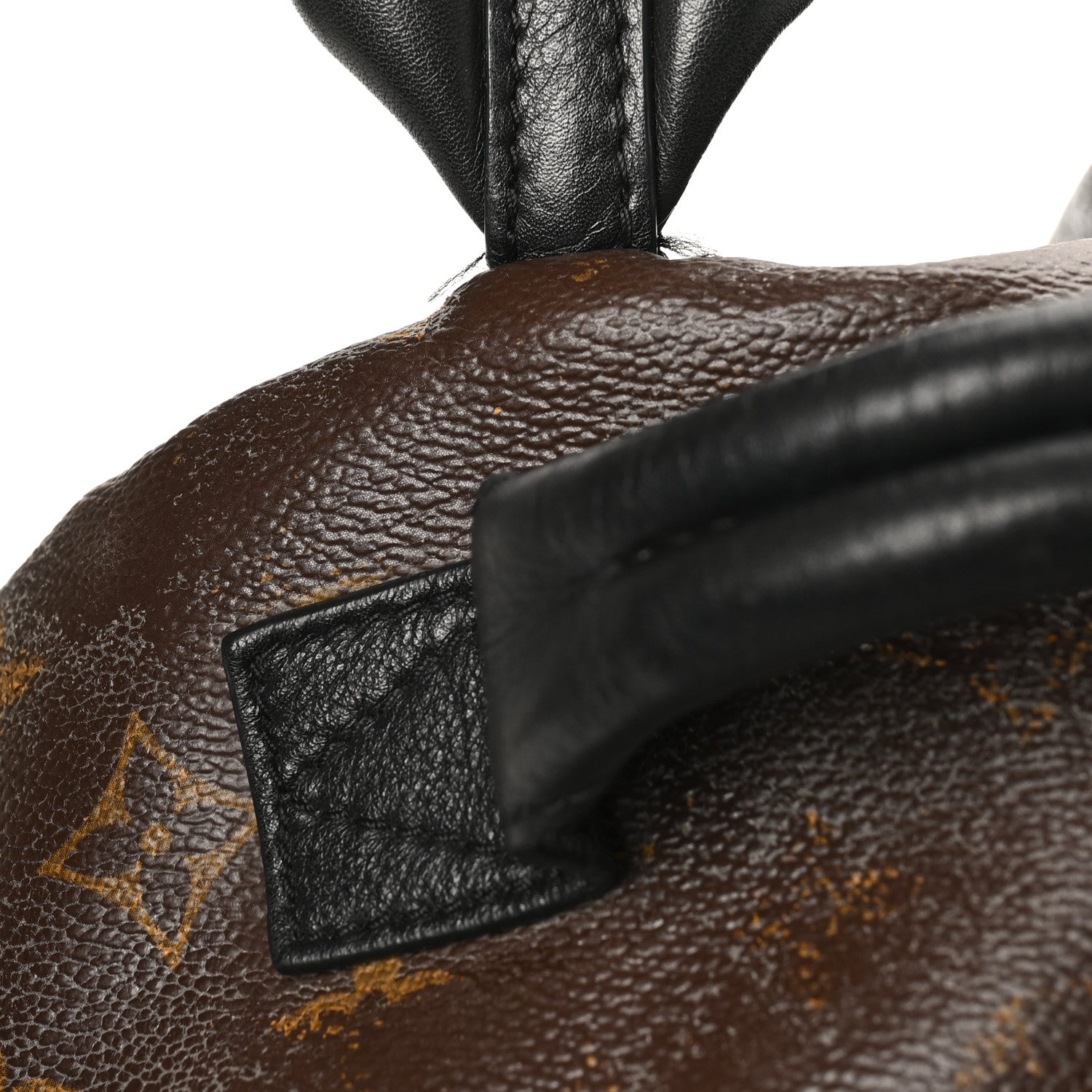 Reverse Monogram Palm Springs Backpack PM