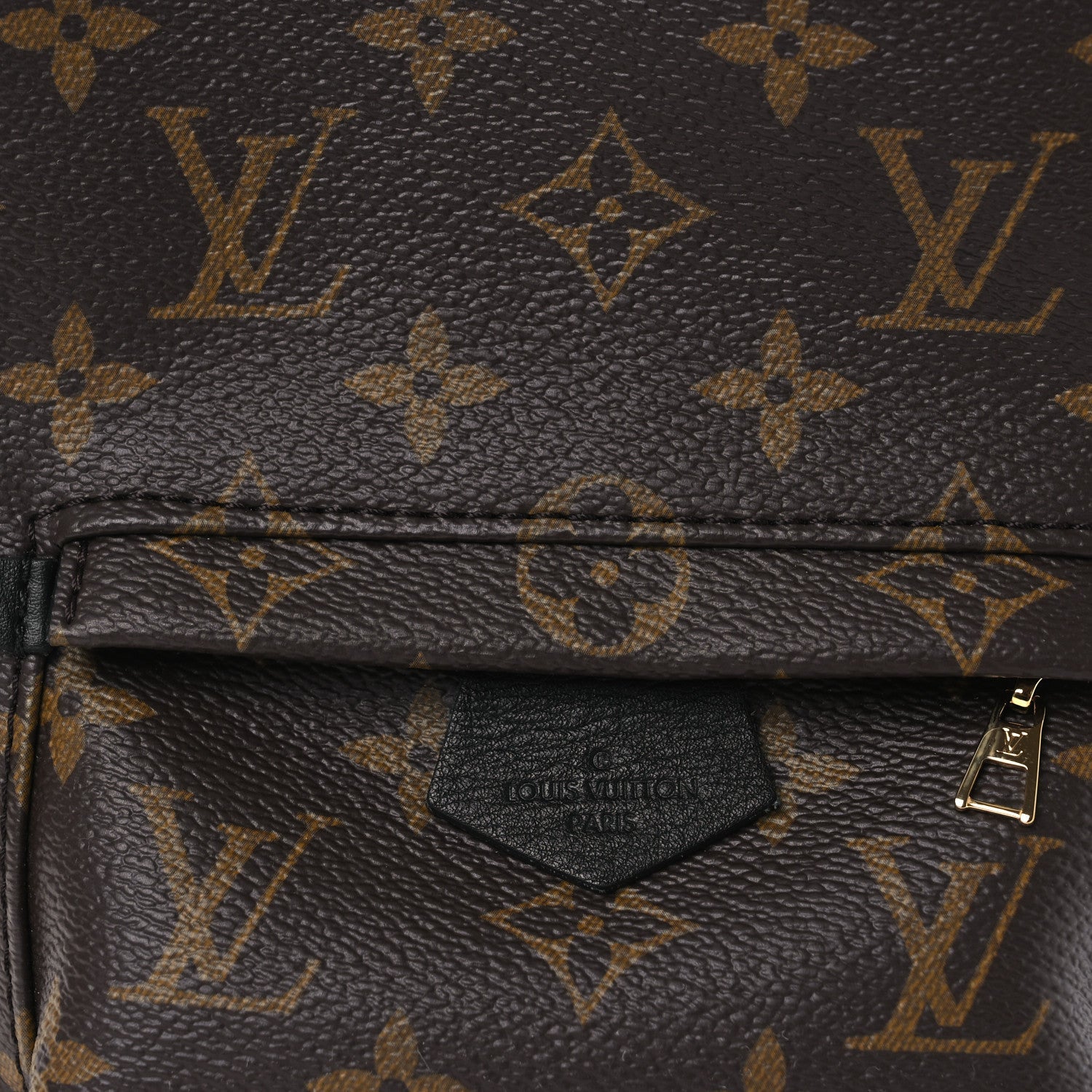 Monogram Palm Springs Backpack Mini